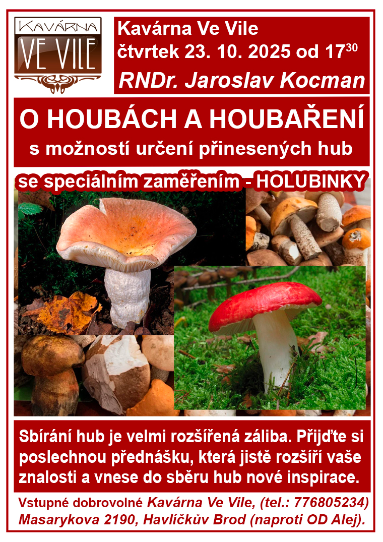 O houbach HOLUBINKY 2025 prednaska.jpg