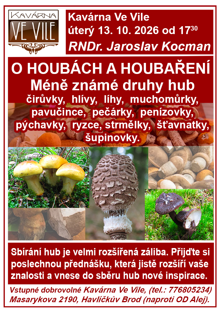 O houbach HOLUBINKY 2026 prednaska.jpg